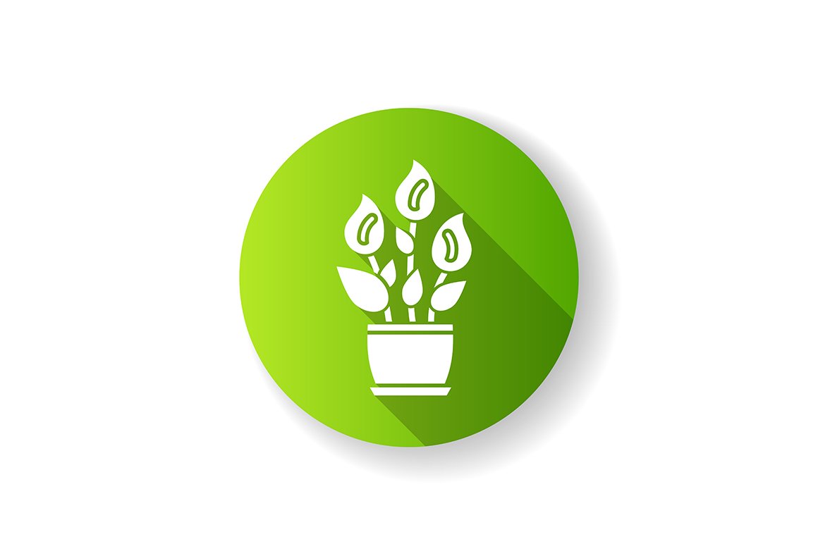 Peace lily green flat design icon cover image.