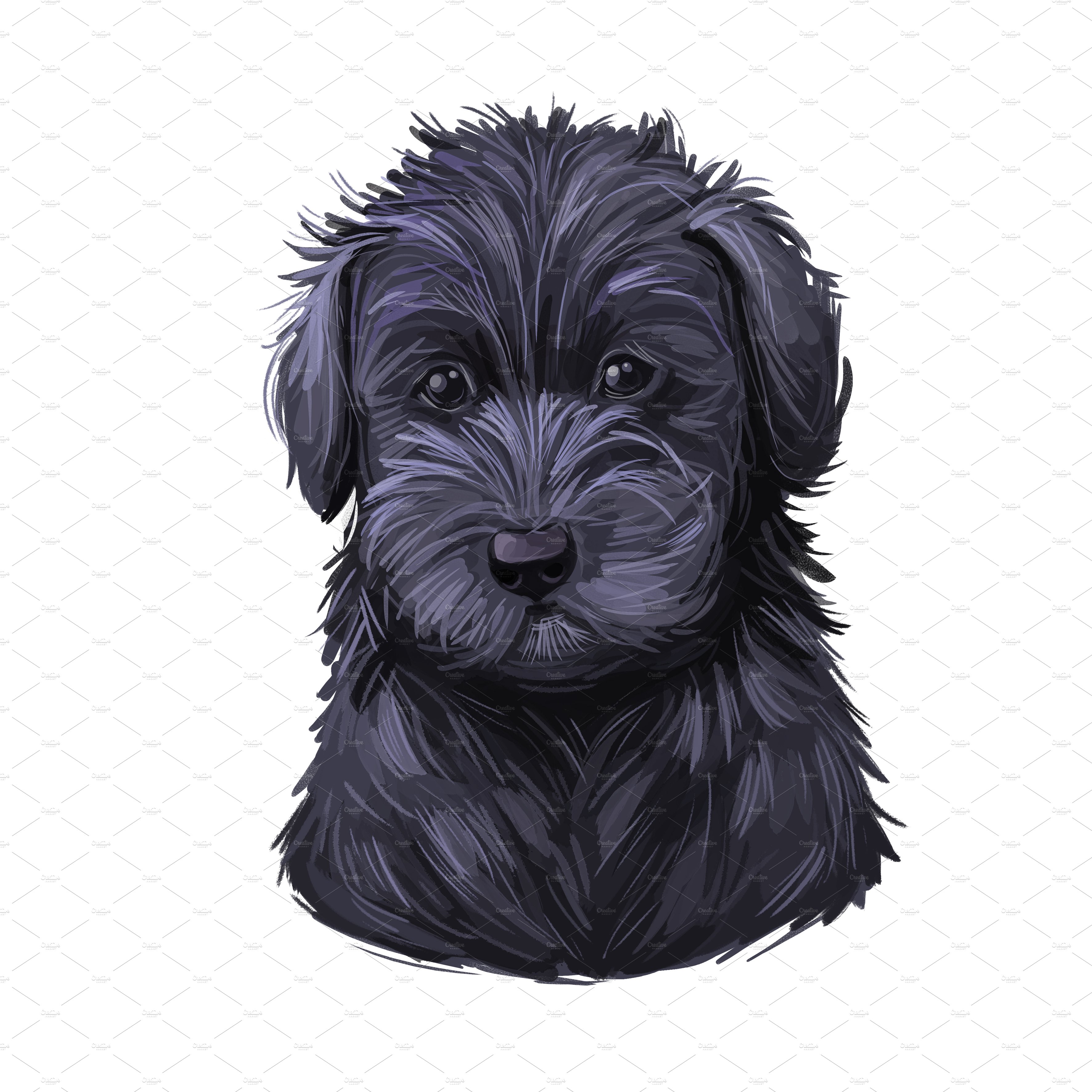 17. schnoodle puppy 28229 220