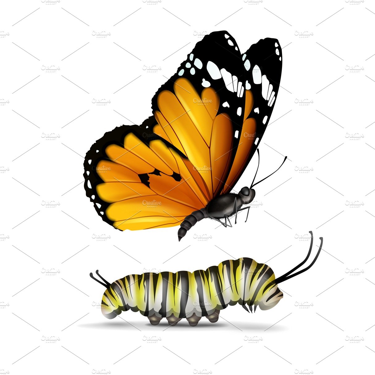 Monarch butterfly and caterpillar cover image.