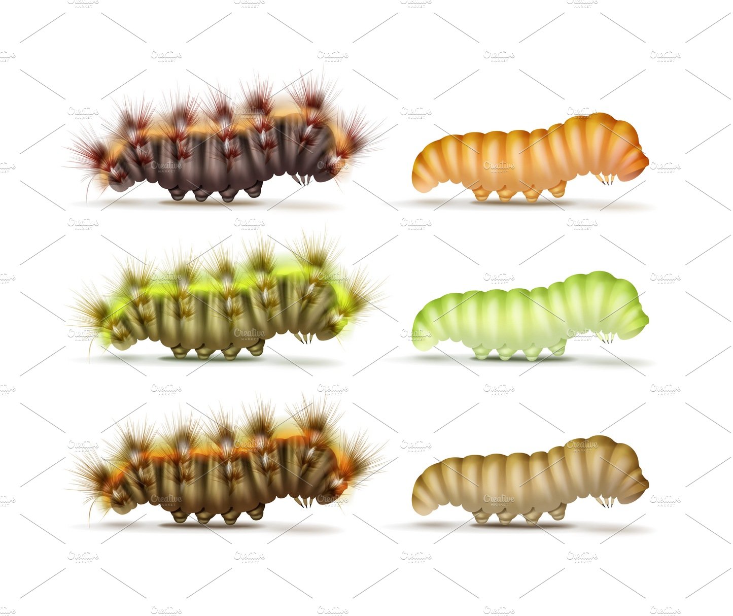 Set of caterpillars cover image.