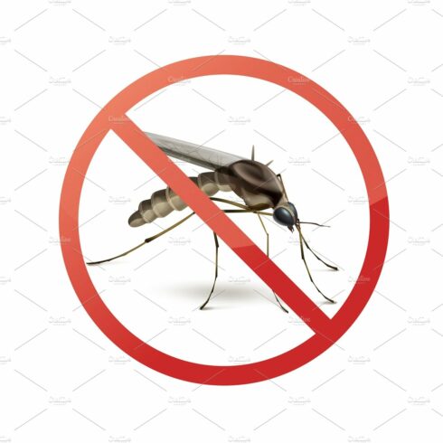 Stop sign on mosquito cover image.