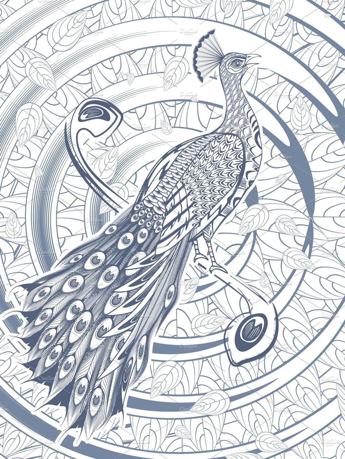 Sketch Beautiful Peacock Template cover image.