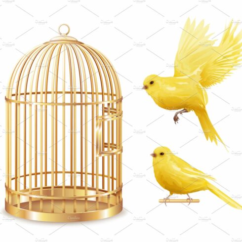 Canary birdcage set cover image.