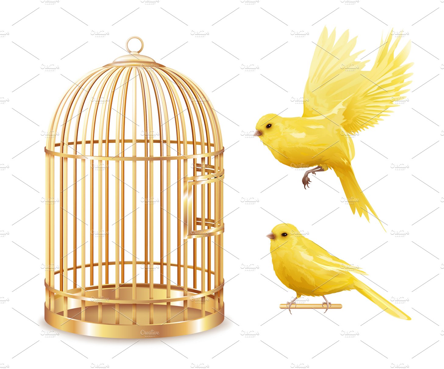 Canary birdcage set cover image.