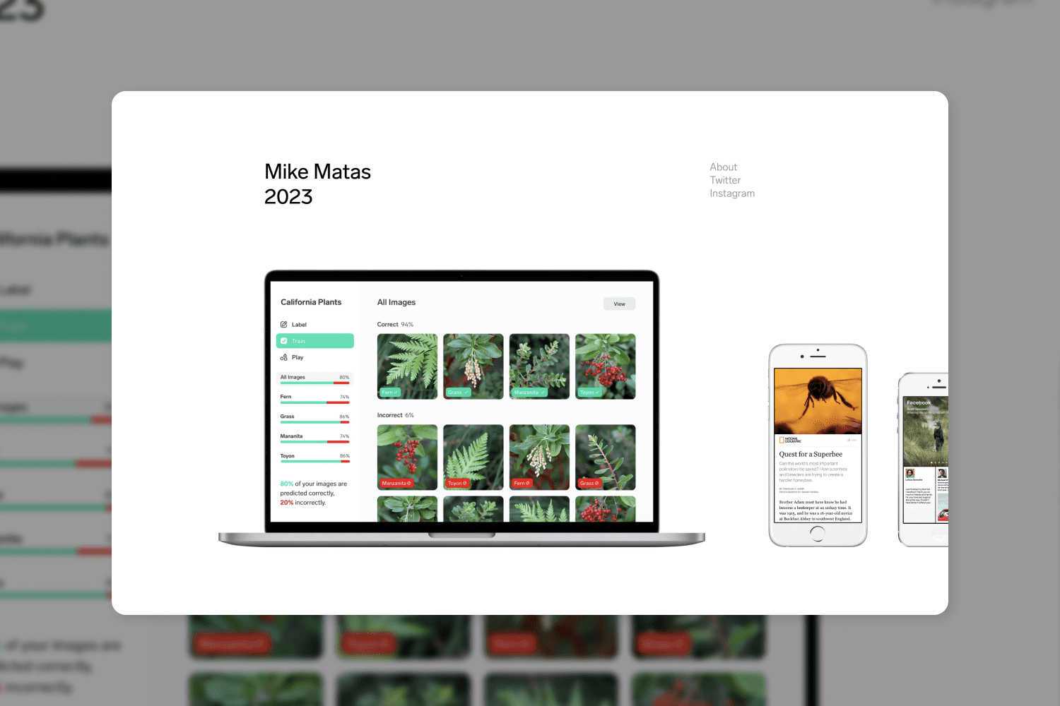 Website with the image of plant leaves on the screen of a macbook.