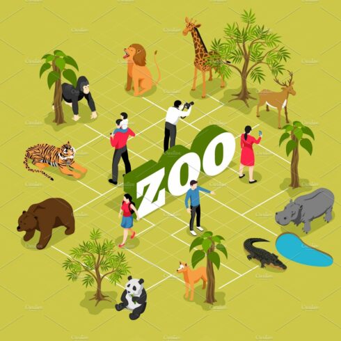 Zoo isometric flowchart cover image.