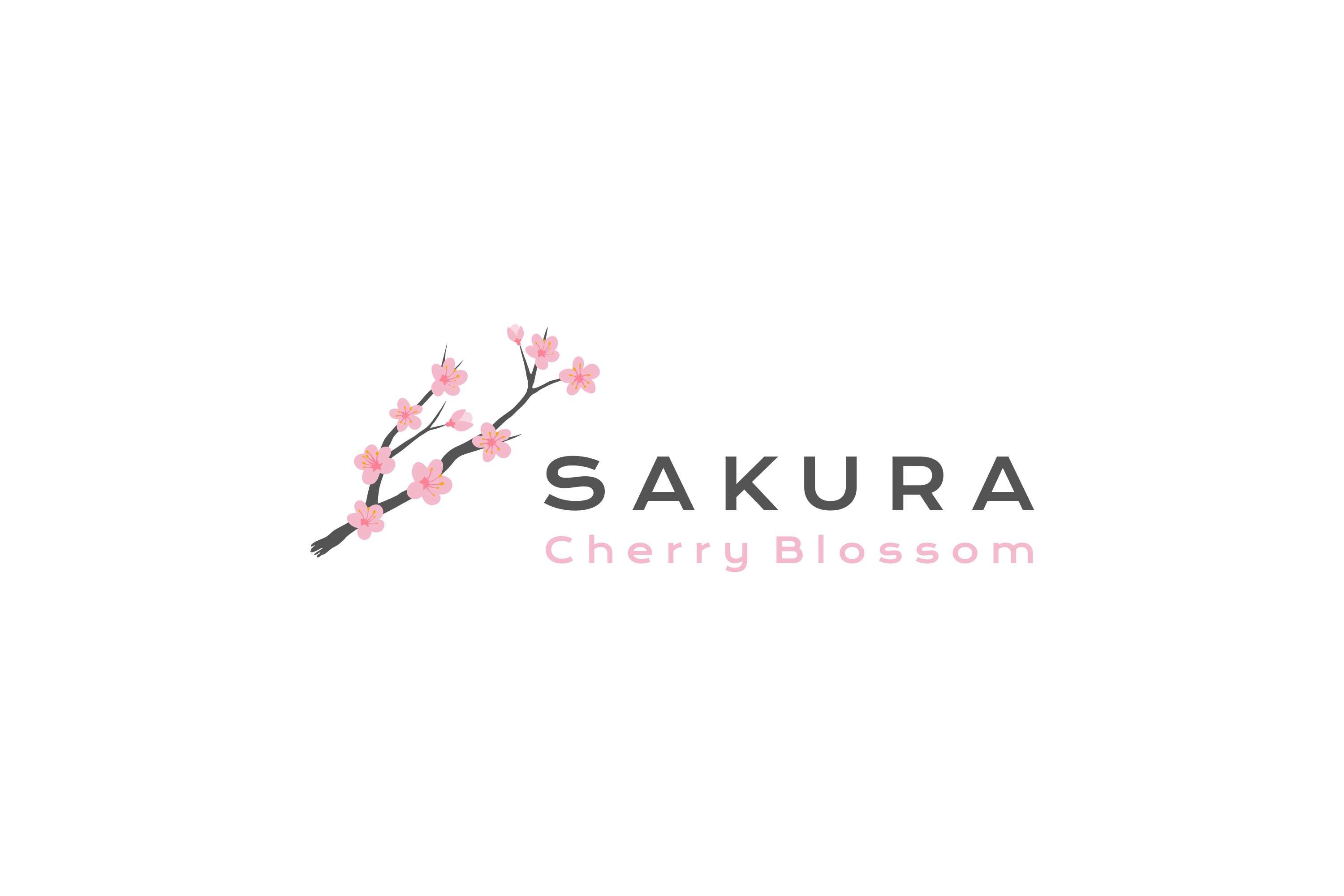 Sakura Flowers Logo Design cover image.