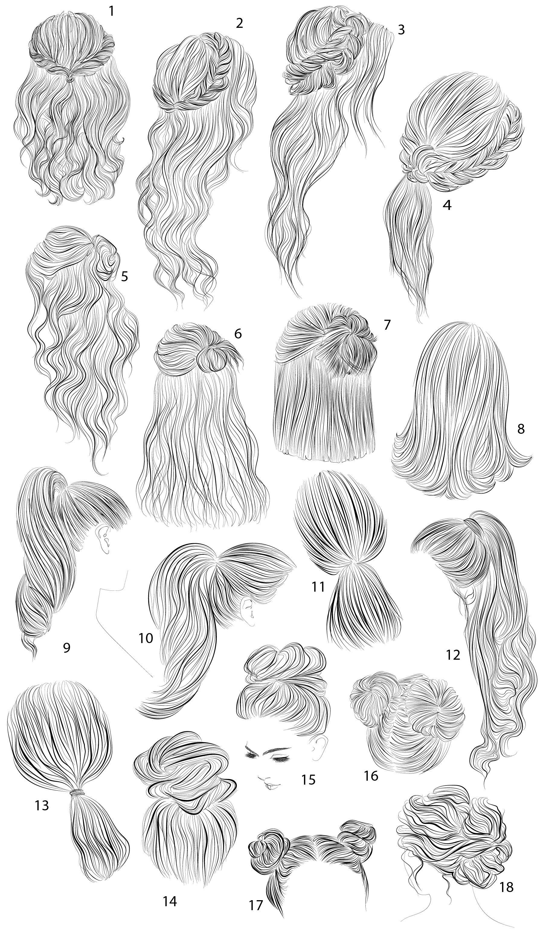 18 vector female hairstyles preview image.