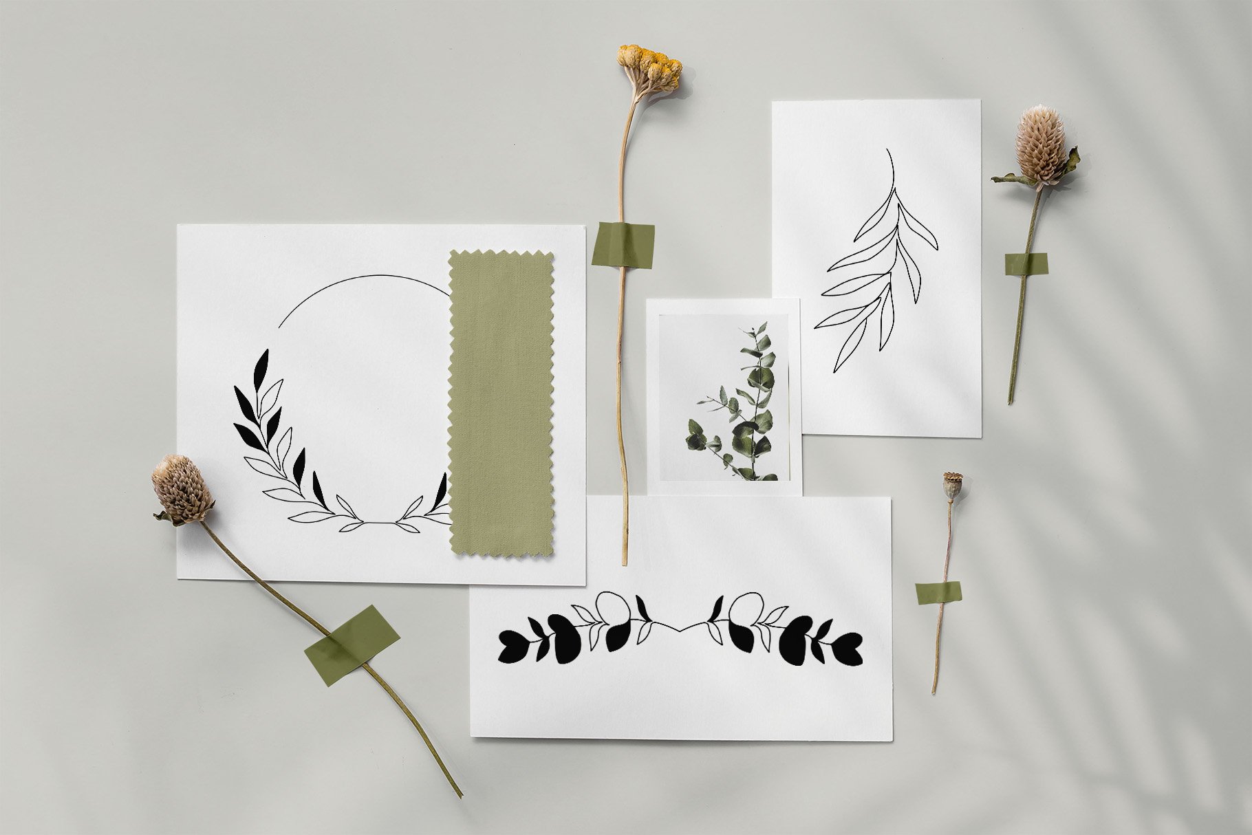 Eucalyptus line collection preview image.