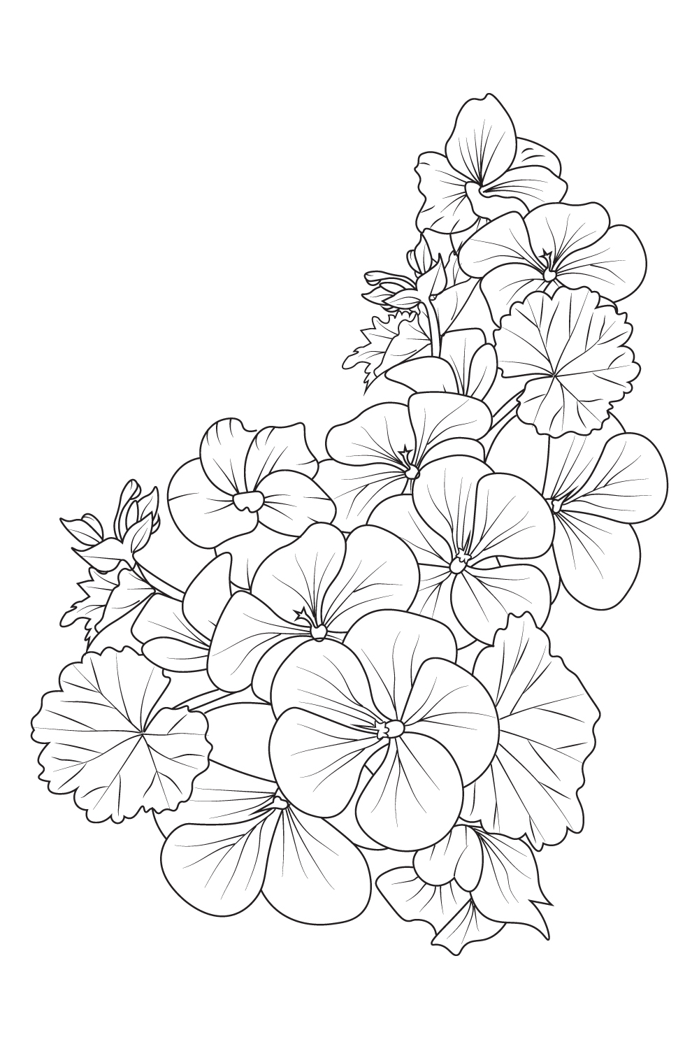 Geranium flower bouquet, pelargonium geranium, geranium drawing, geranium drawing easy, flower cluster drawing Easy flower coloring pages, Cute flower coloring pages, pinterest preview image.