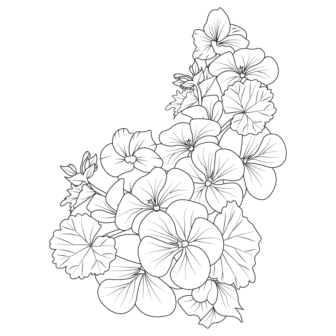 Geranium flower bouquet, pelargonium geranium, geranium drawing, geranium drawing easy, flower cluster drawing Easy flower coloring pages, Cute flower coloring pages, preview image.