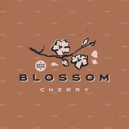 cherry blossom aesthetic vintage cover image.