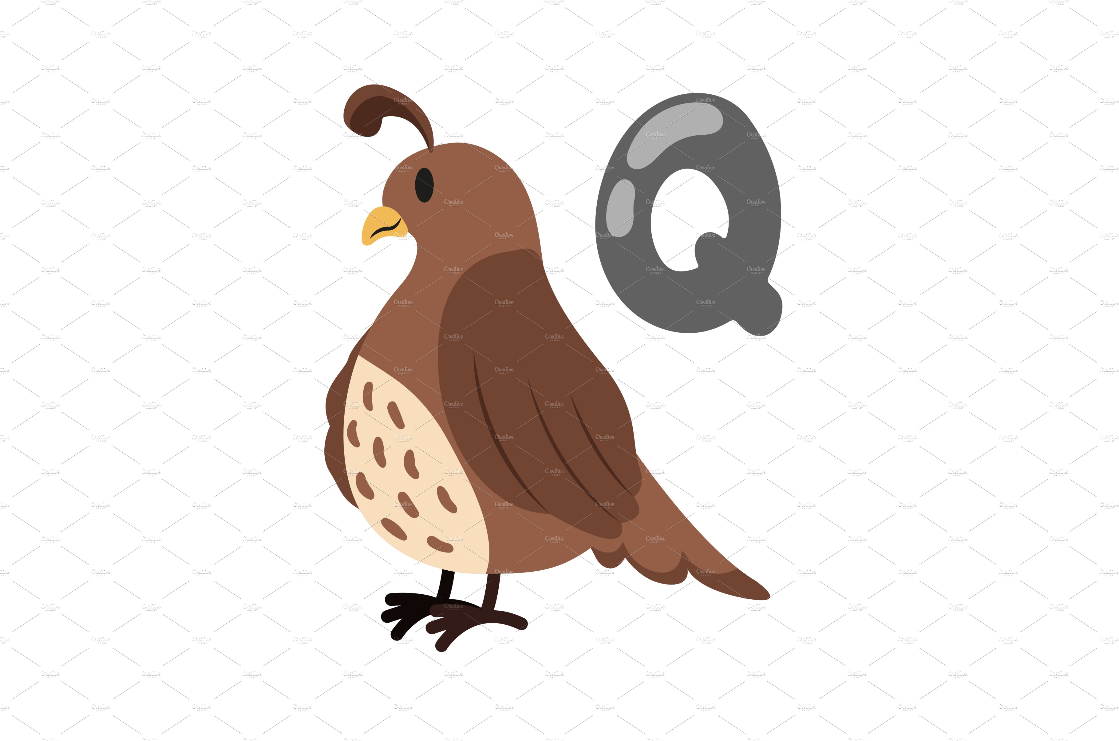 Concept Alphabet Q quail cover image.