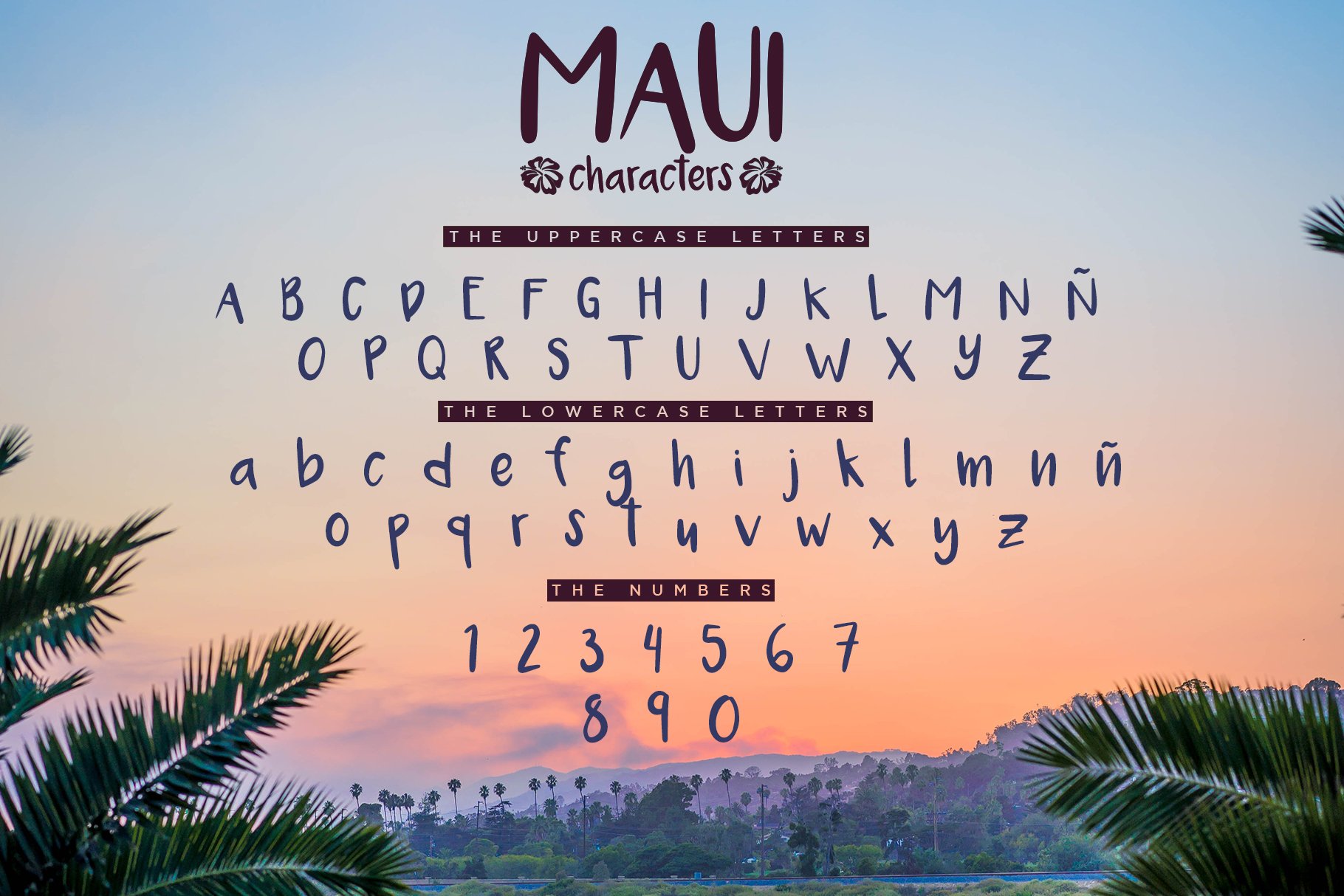 Maui - 2 Versions Handwritten Font preview image.