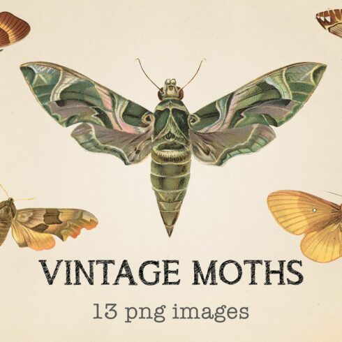 Vintage Moths Clipart cover image.