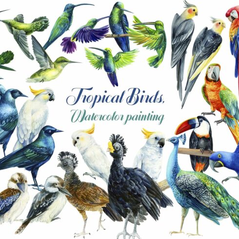 Tropical Birds, Watercolor painting cover image.