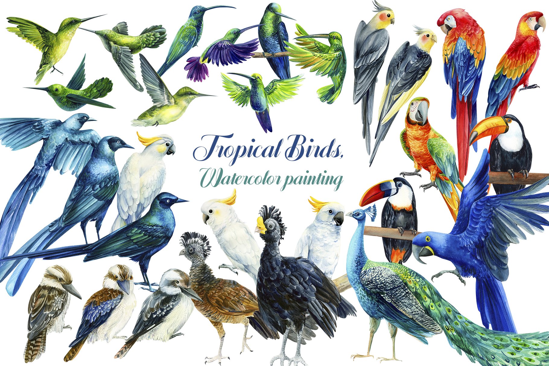 Tropical Birds, Watercolor painting cover image.