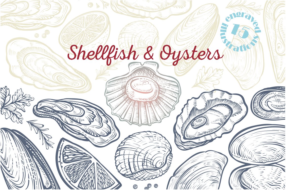 Vector sketch of Shellfish & Oysters cover image.