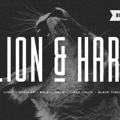Lion & Hare Font + Bonus Fonts! cover image.
