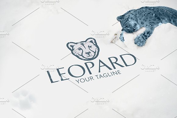 Leopard cover image.