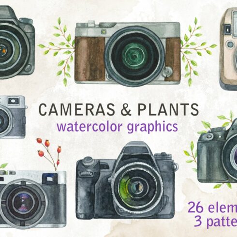 Cameras & plants. Watercolor set cover image.