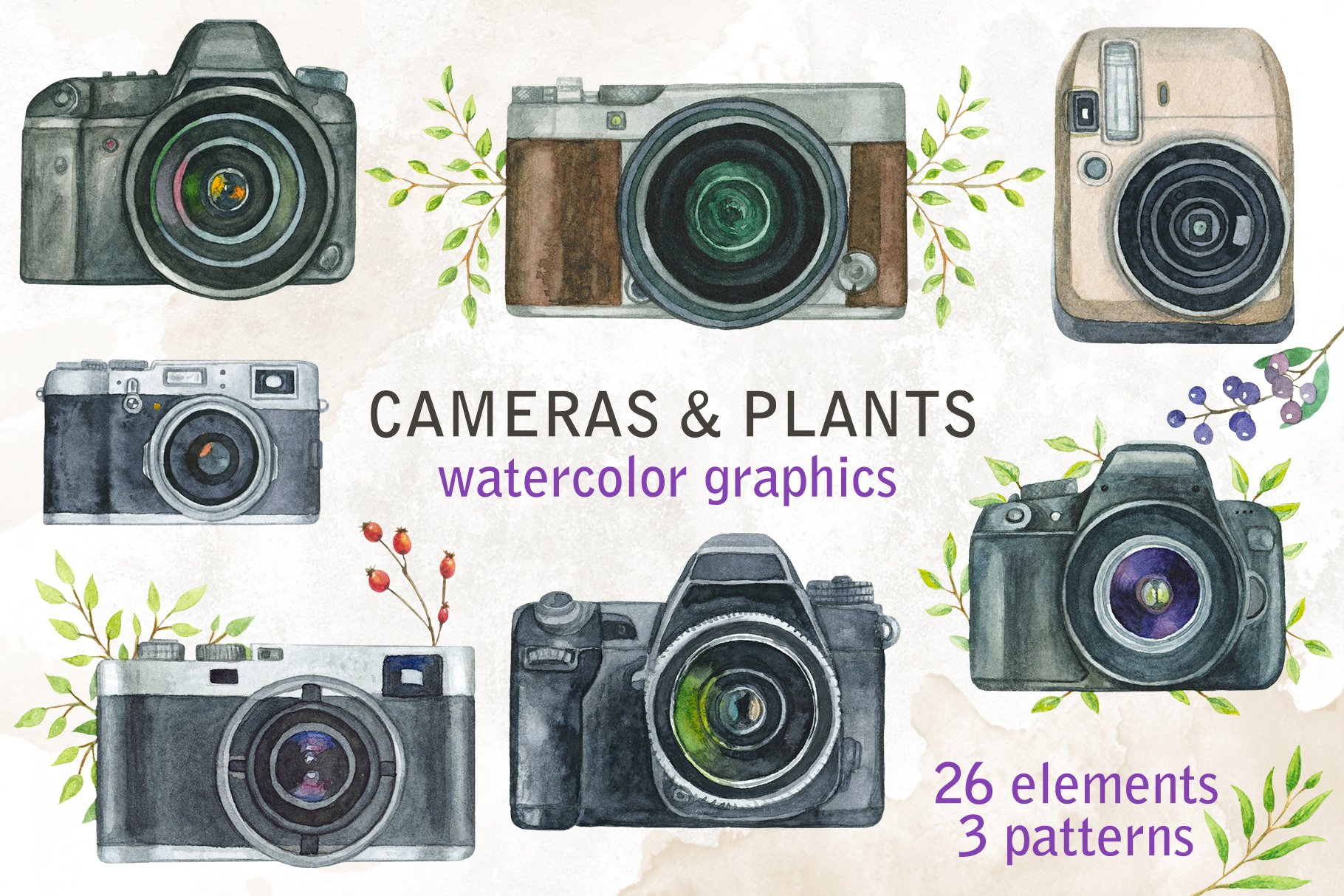 Cameras & plants. Watercolor set cover image.