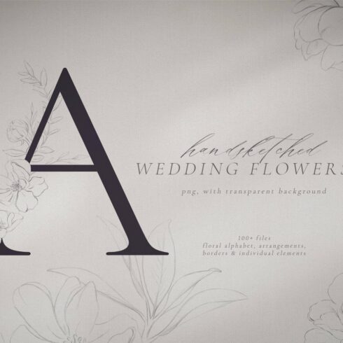 Floral Alphabet Pencil Illustrations cover image.