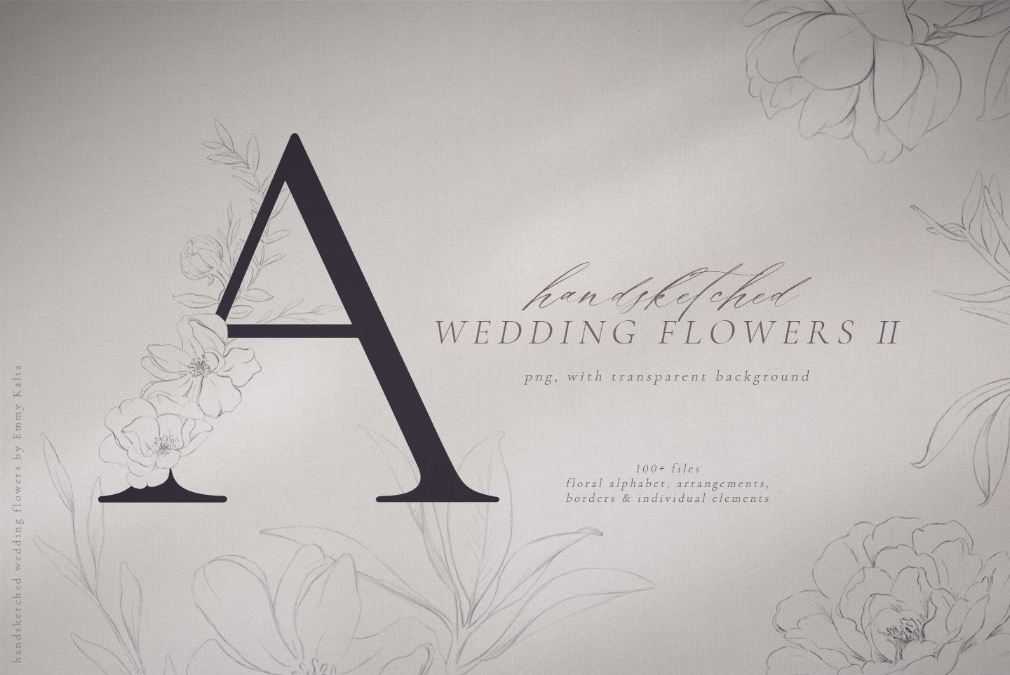 Floral Alphabet Pencil Illustrations cover image.