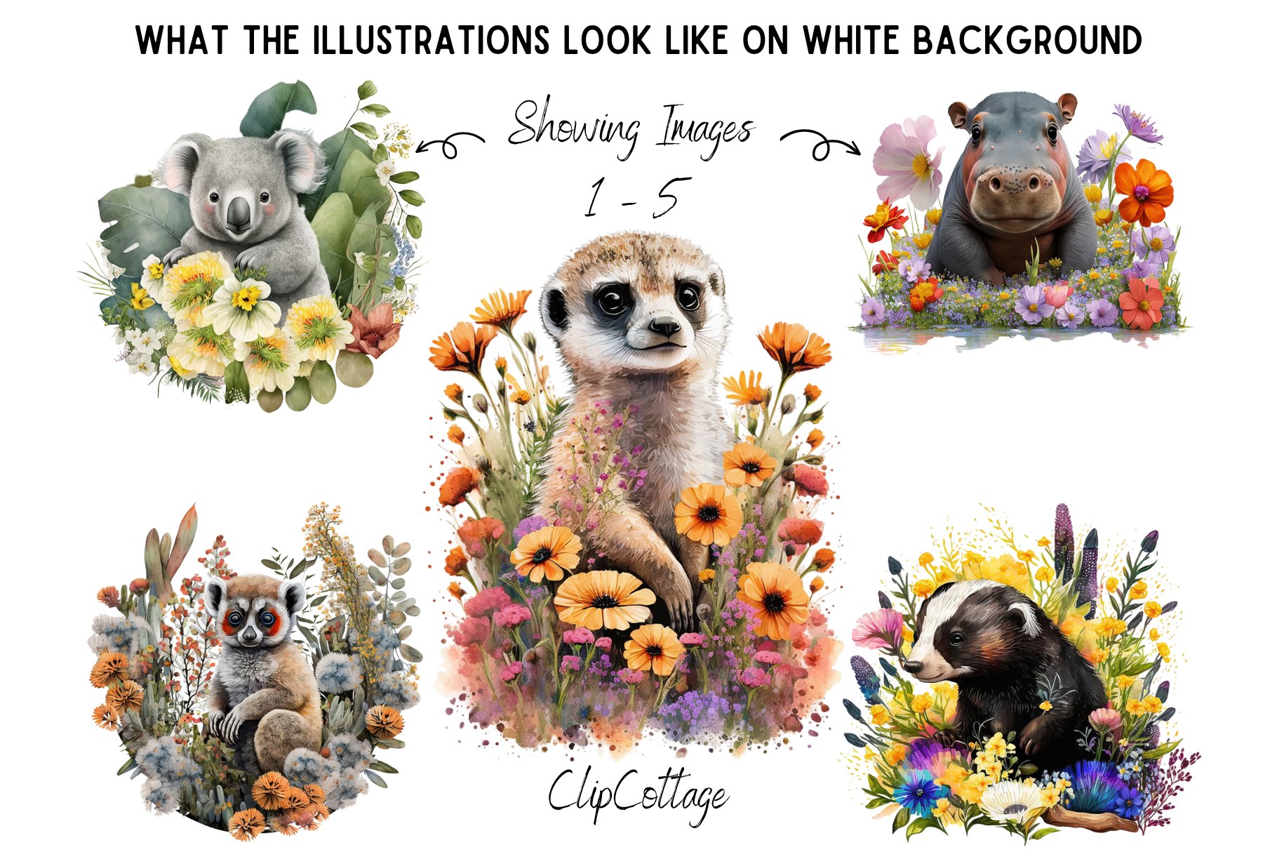 20 Watercolour Safari Baby Animals preview image.