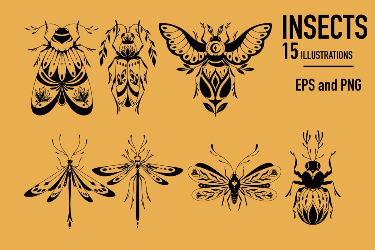Insects. Graphic clipart + patterns. preview image.