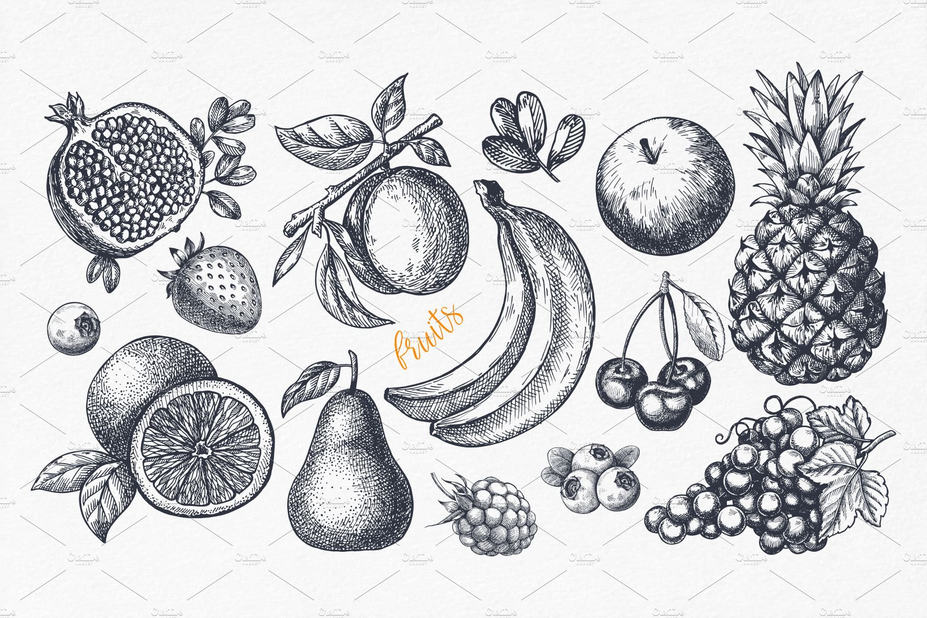 Fruits. Hand drawn collection. preview image.