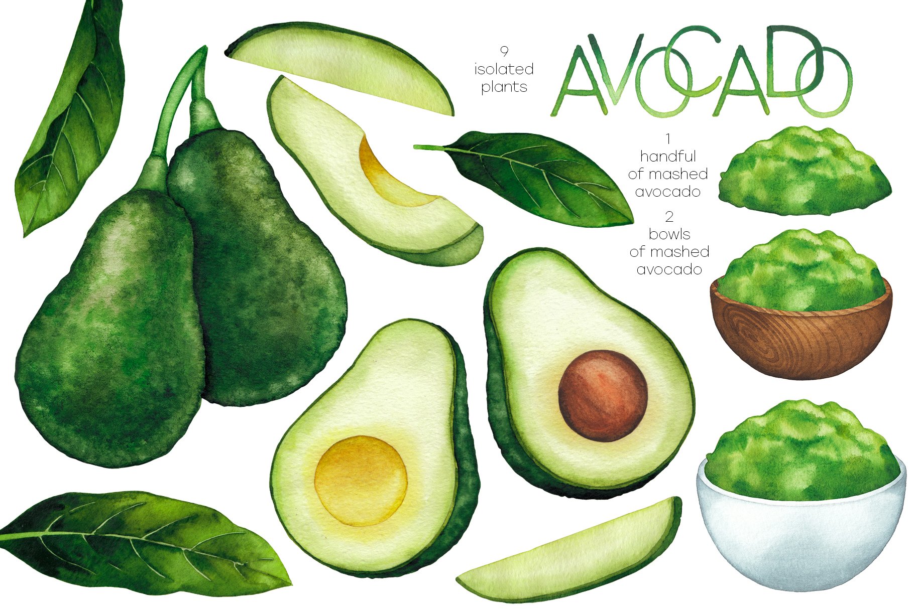 Watercolor avocado & essential oils preview image.