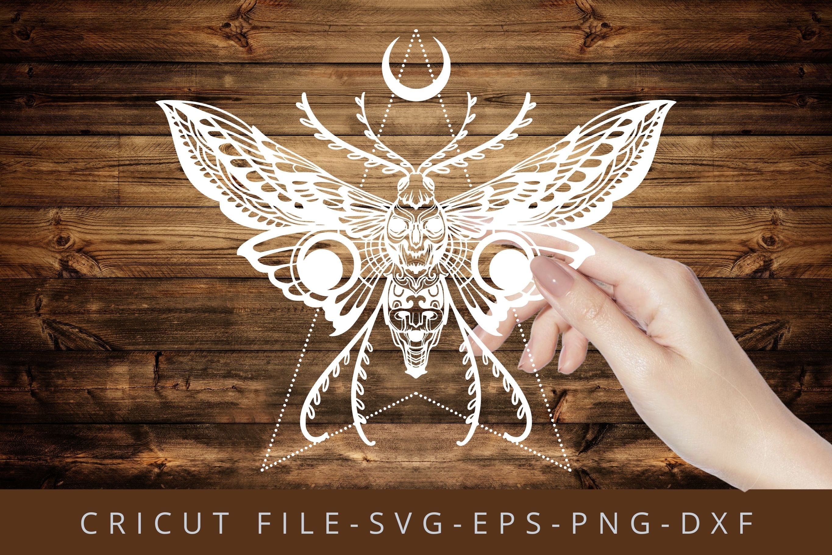 Moth SVG, Death Moth SVG cut file preview image.