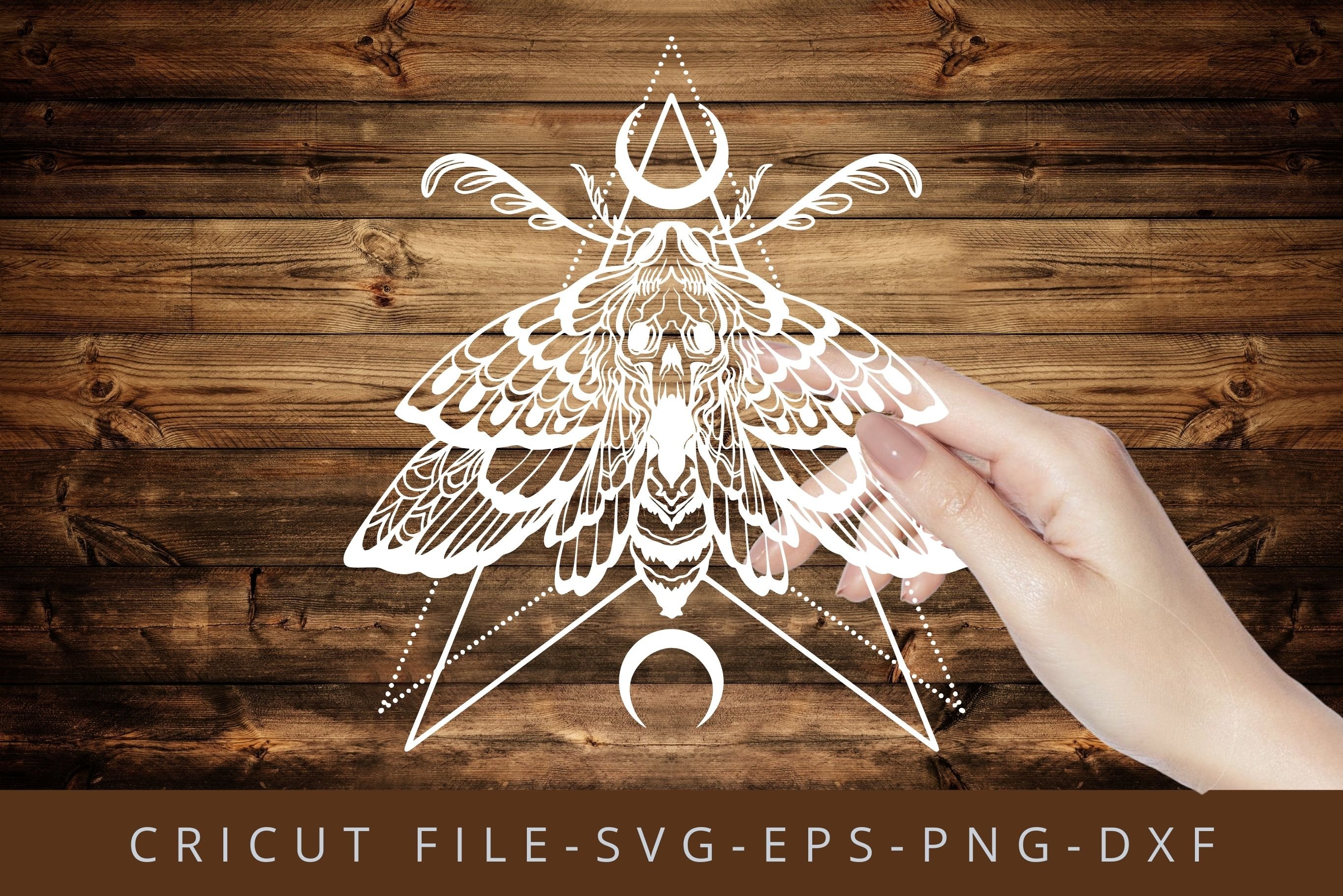 Moth SVG, Death Moth SVG Cut files preview image.