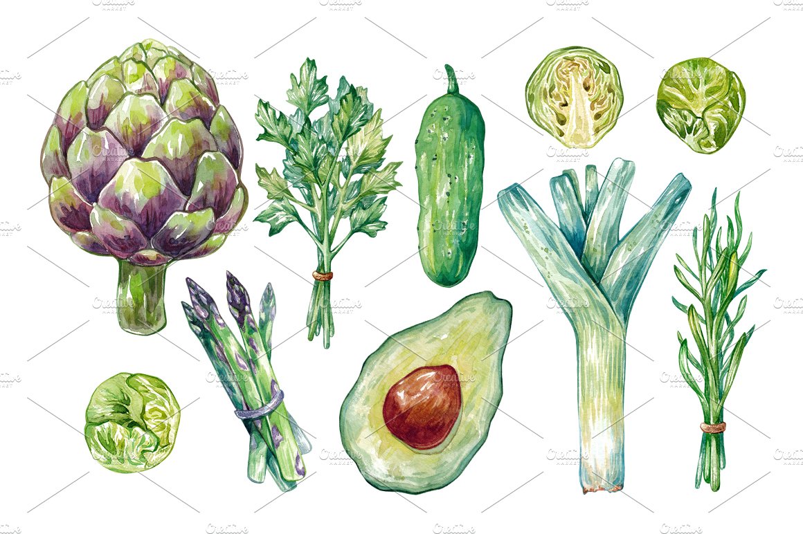 Watercolor Vegetables. preview image.