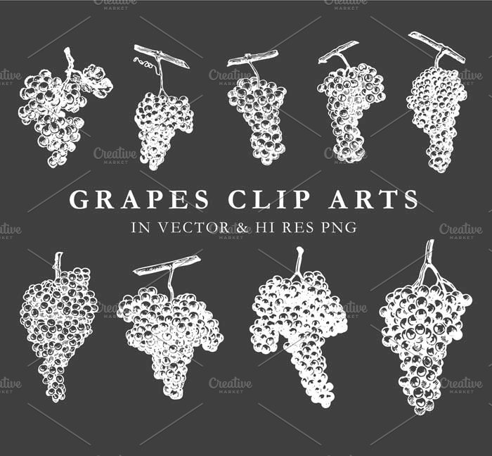 Vintage Hand Drawn Grape Vector Pack preview image.