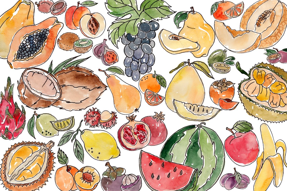 Watercolor fruits, vector preview image.