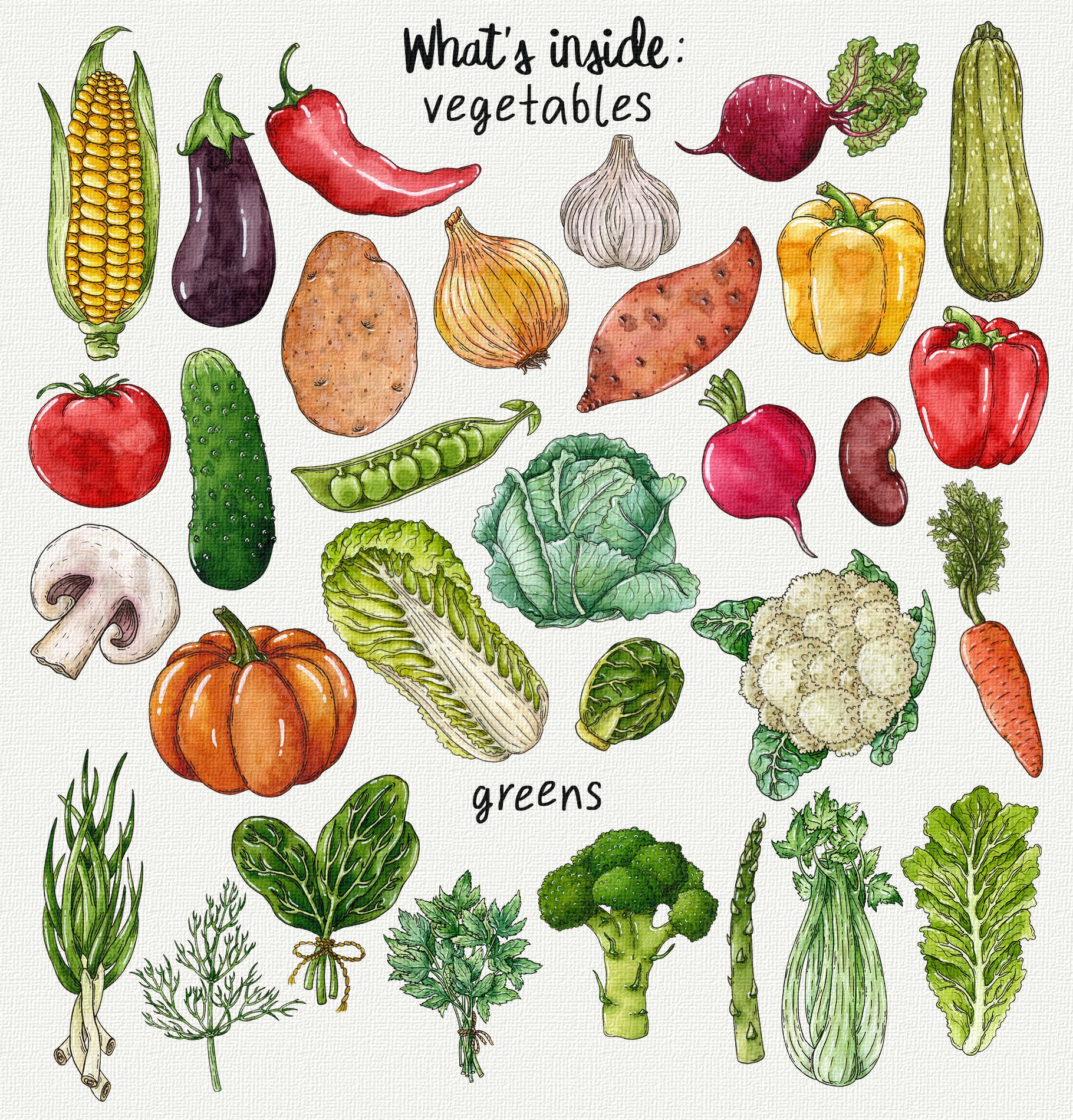Veggies & greens watercolor clipart preview image.