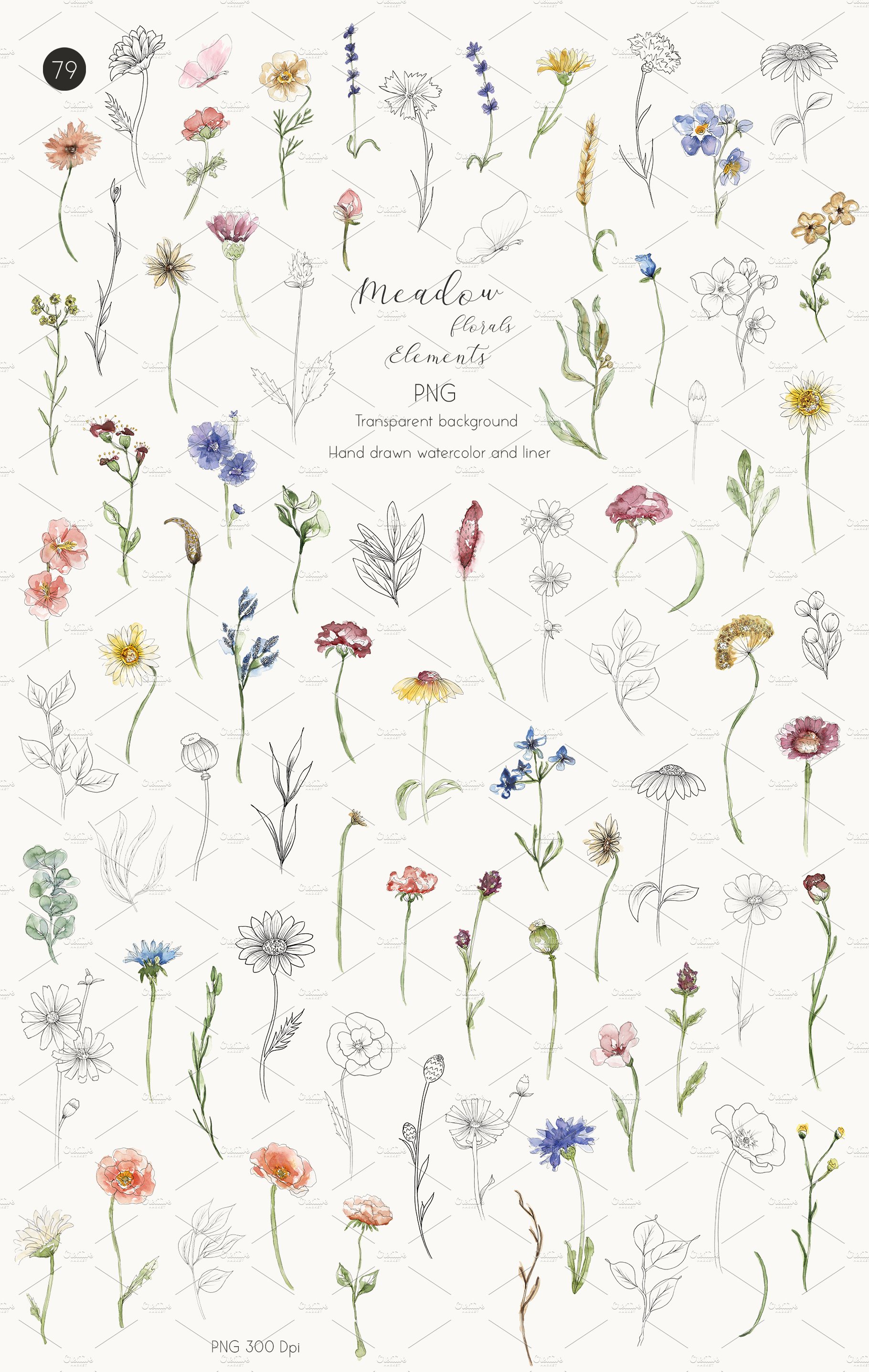 Watercolor Meadow Florals Collection preview image.