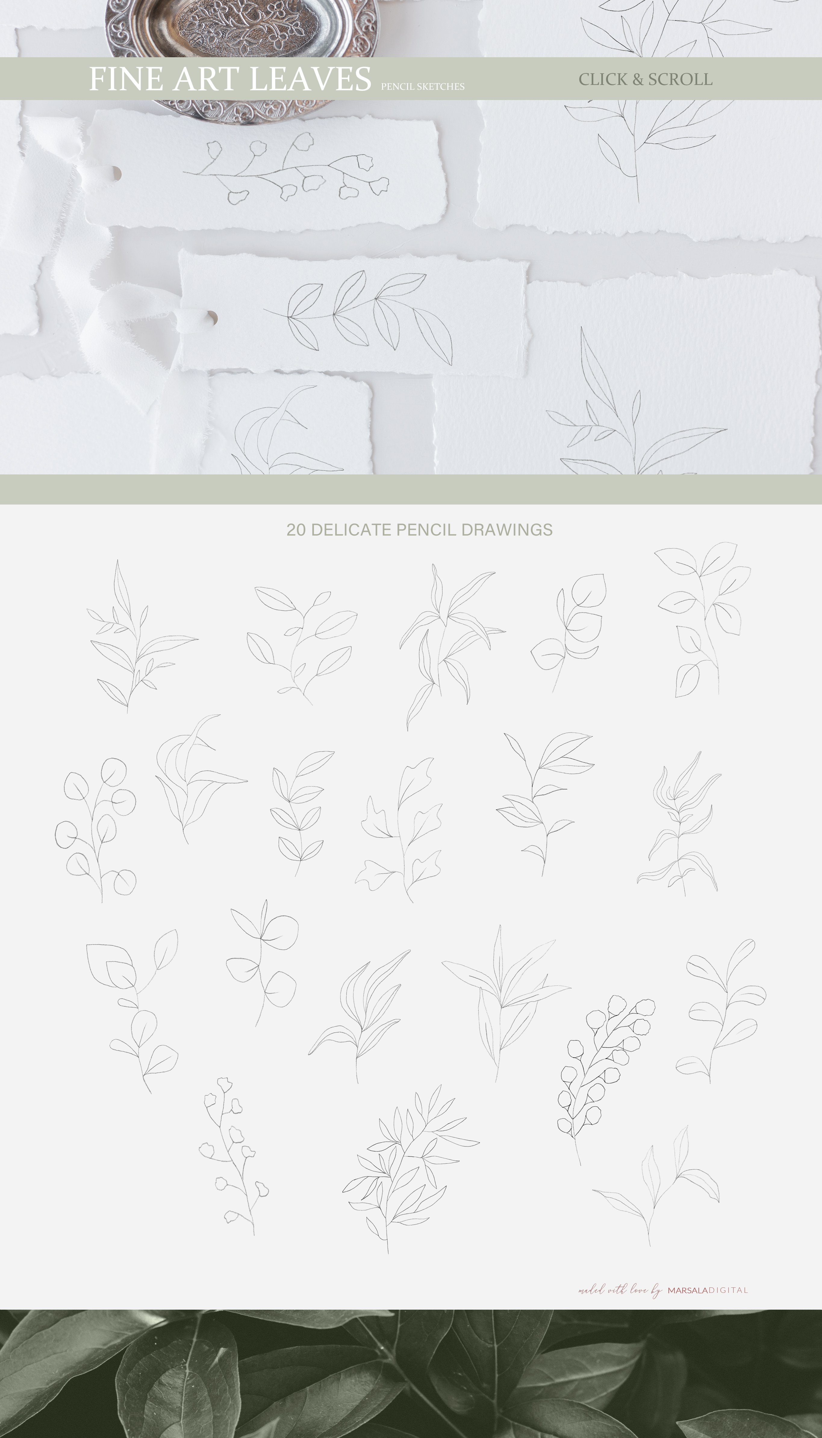 Fine Art Leaves - Pencil Sketches preview image.