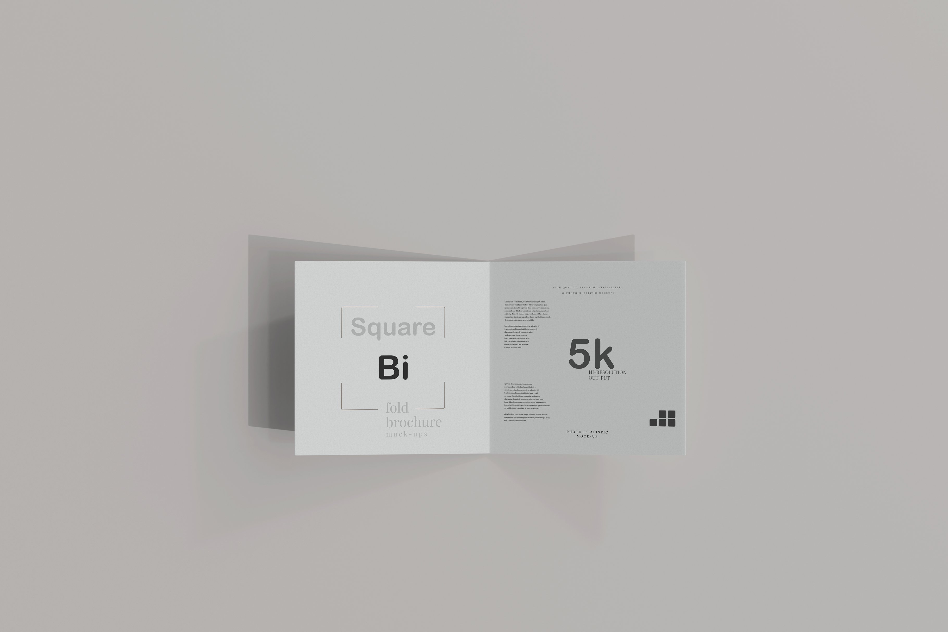 100x Square Brochure Mockups preview image.