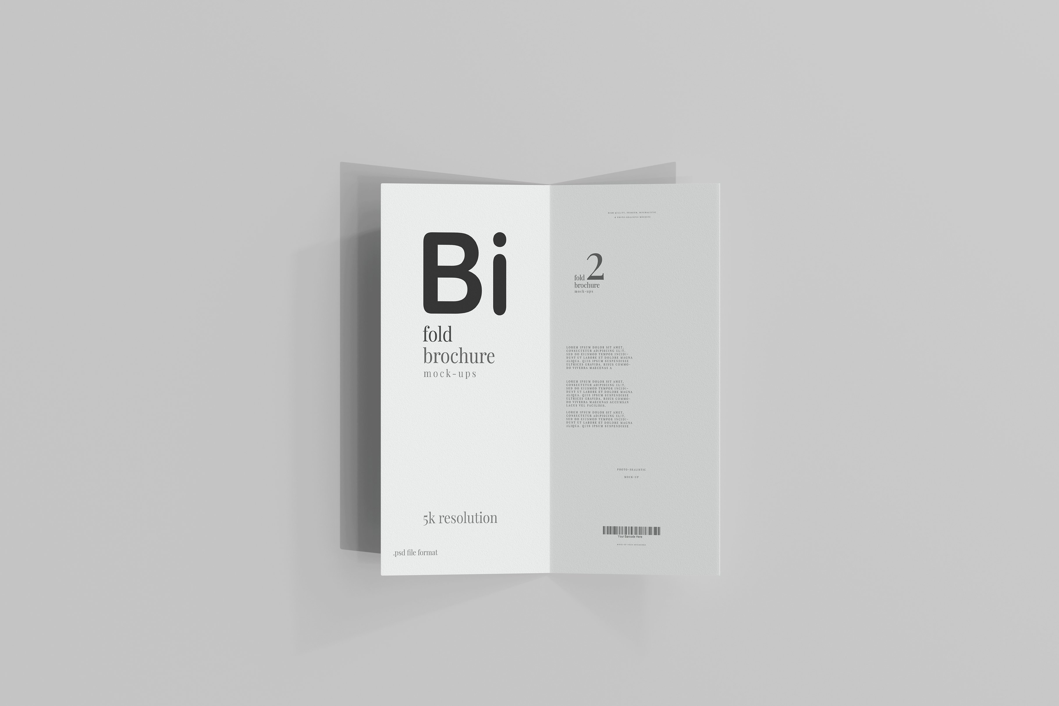 DL Size Bi-Fold Brochure Mockup preview image.