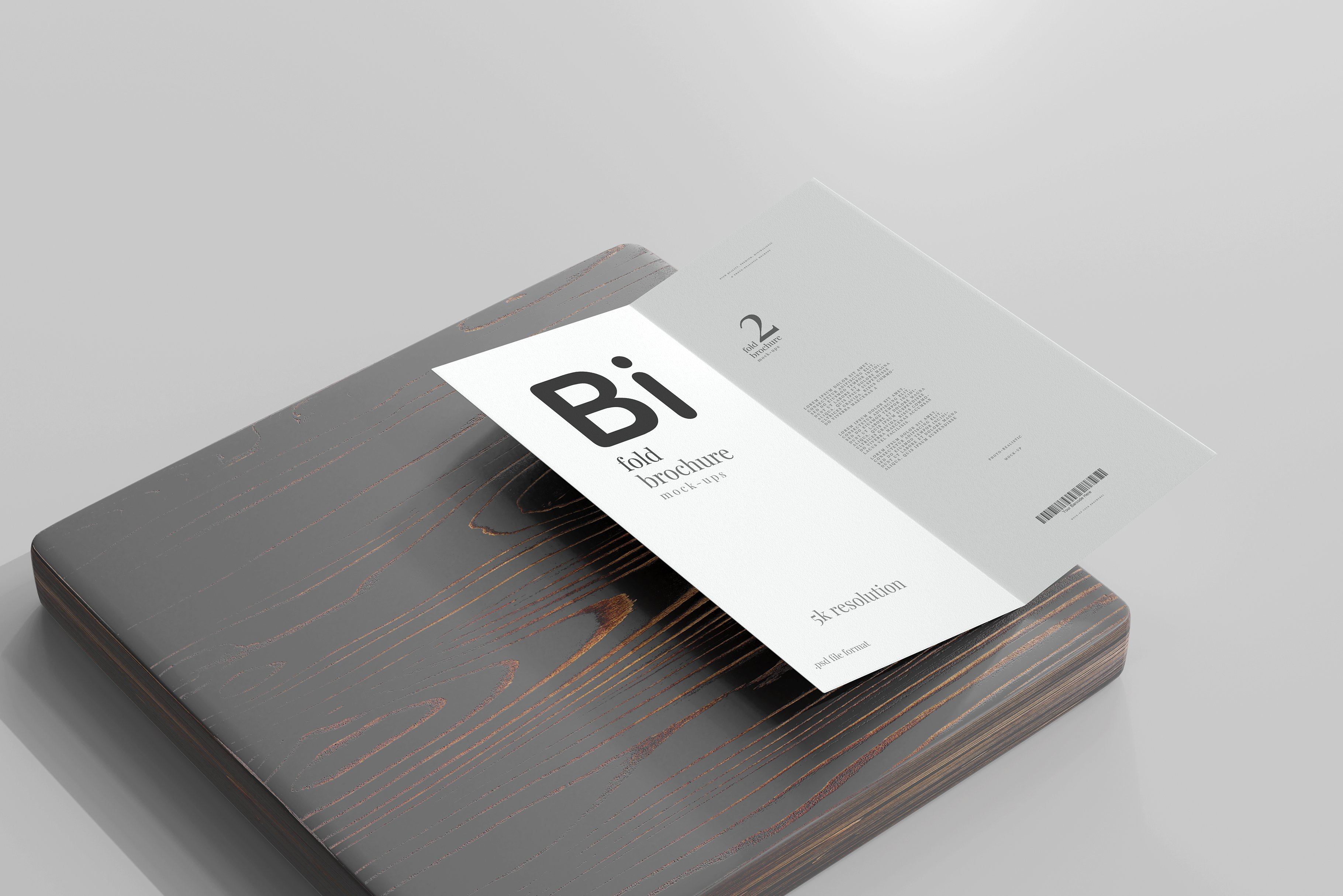 100x DL Brochure Mockup Bundle preview image.