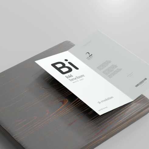 DL Size Bi-Fold Brochure Mockup cover image.