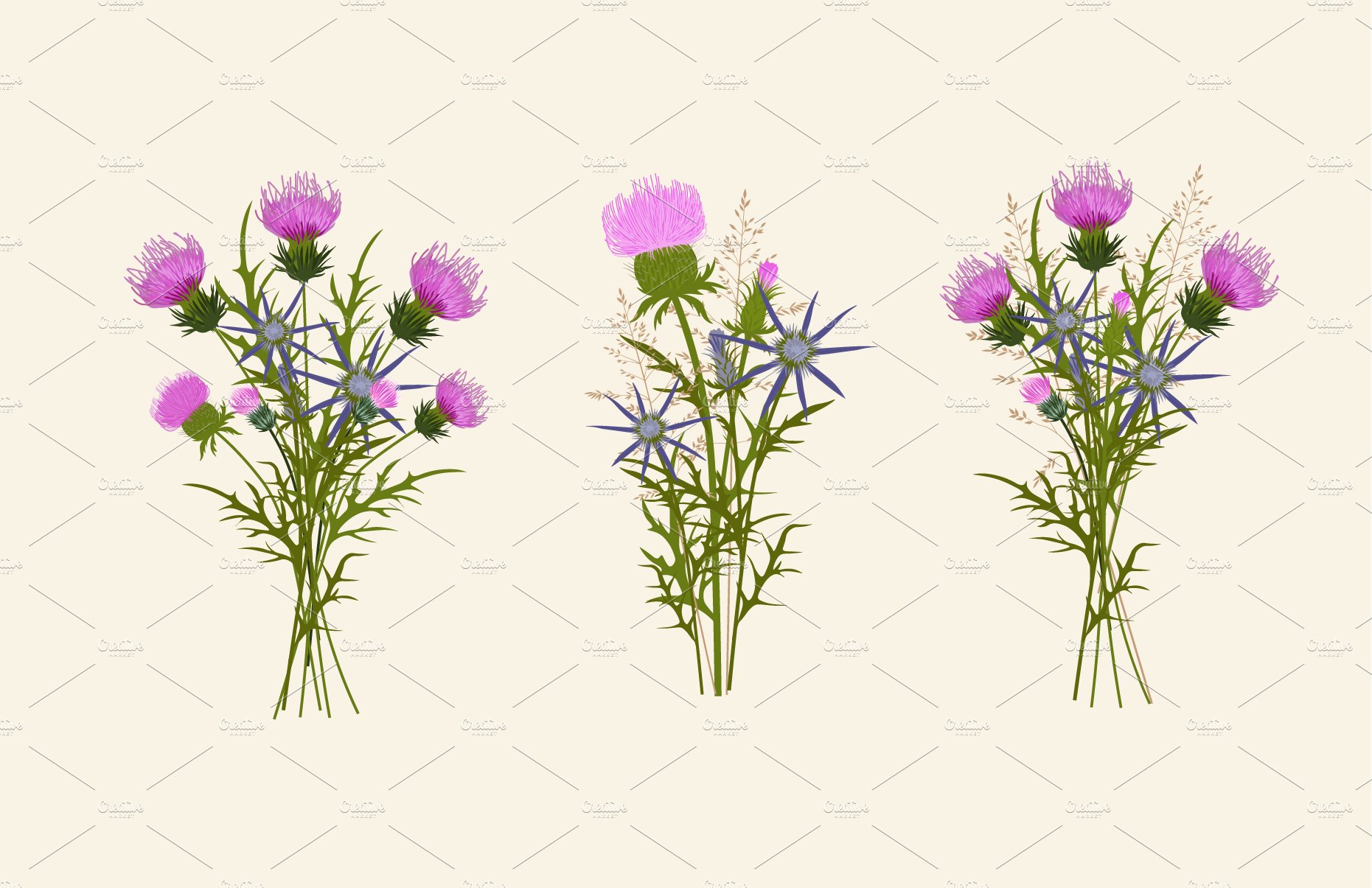 Thistle - meadow flower preview image.
