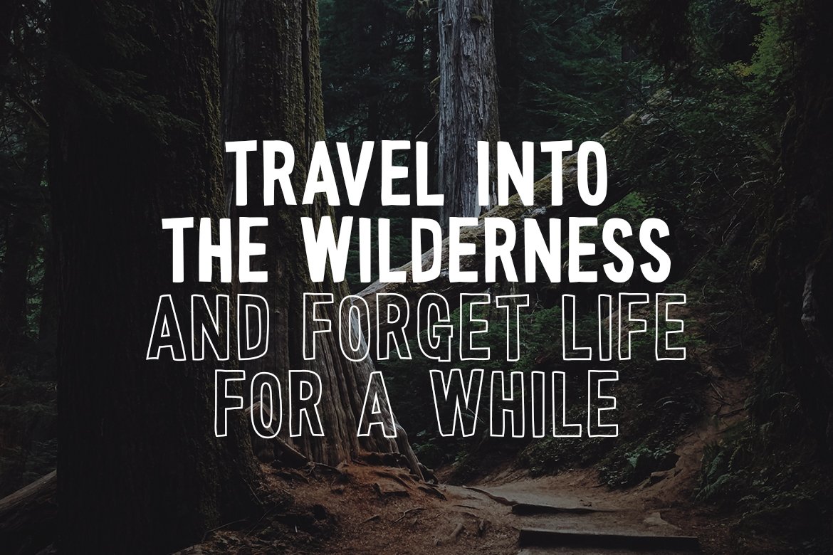 Wonderful Wilderness Font Duo preview image.