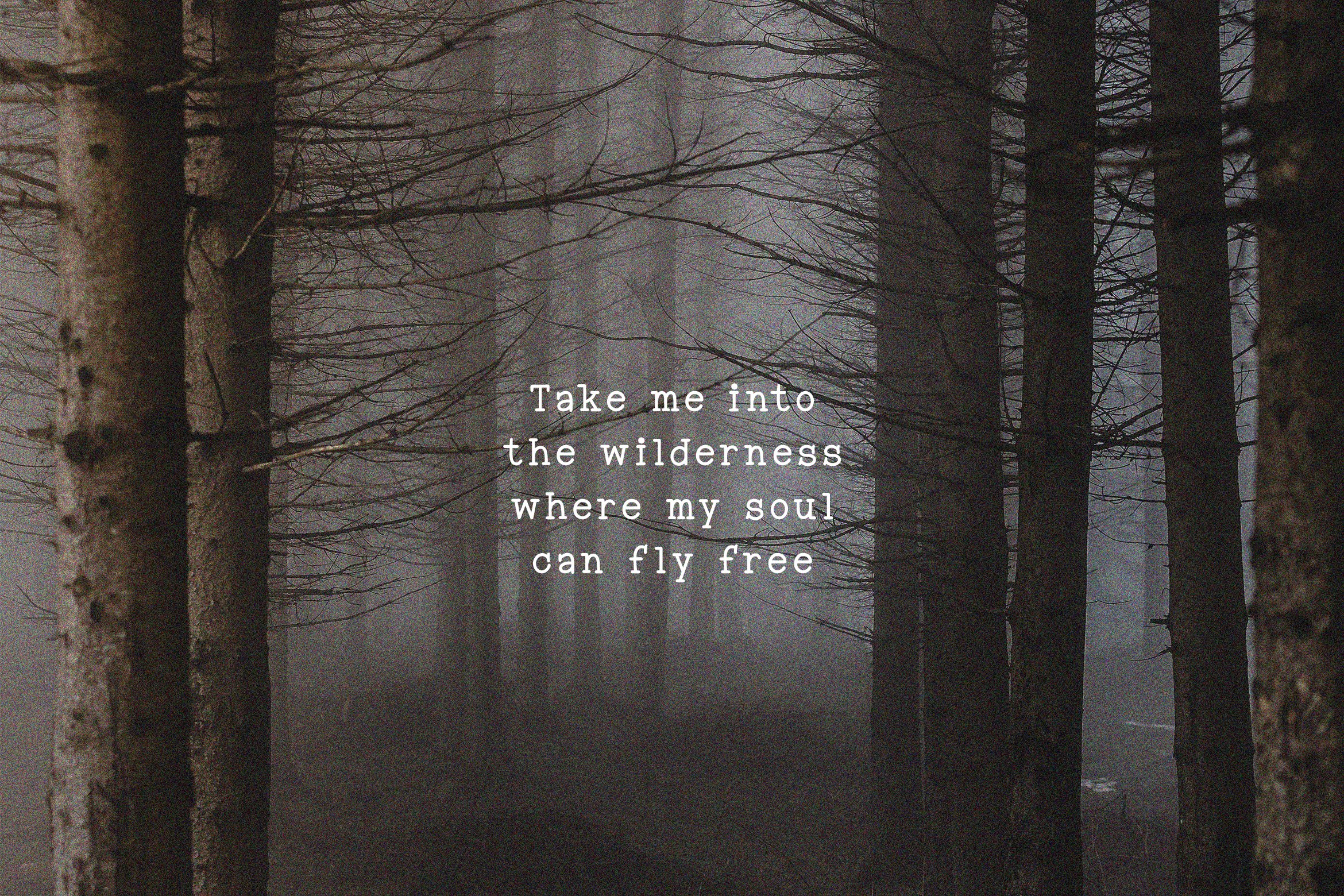Into the Wild Font preview image.