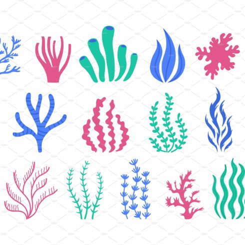 Sea corals. Underwater plants, hand cover image.
