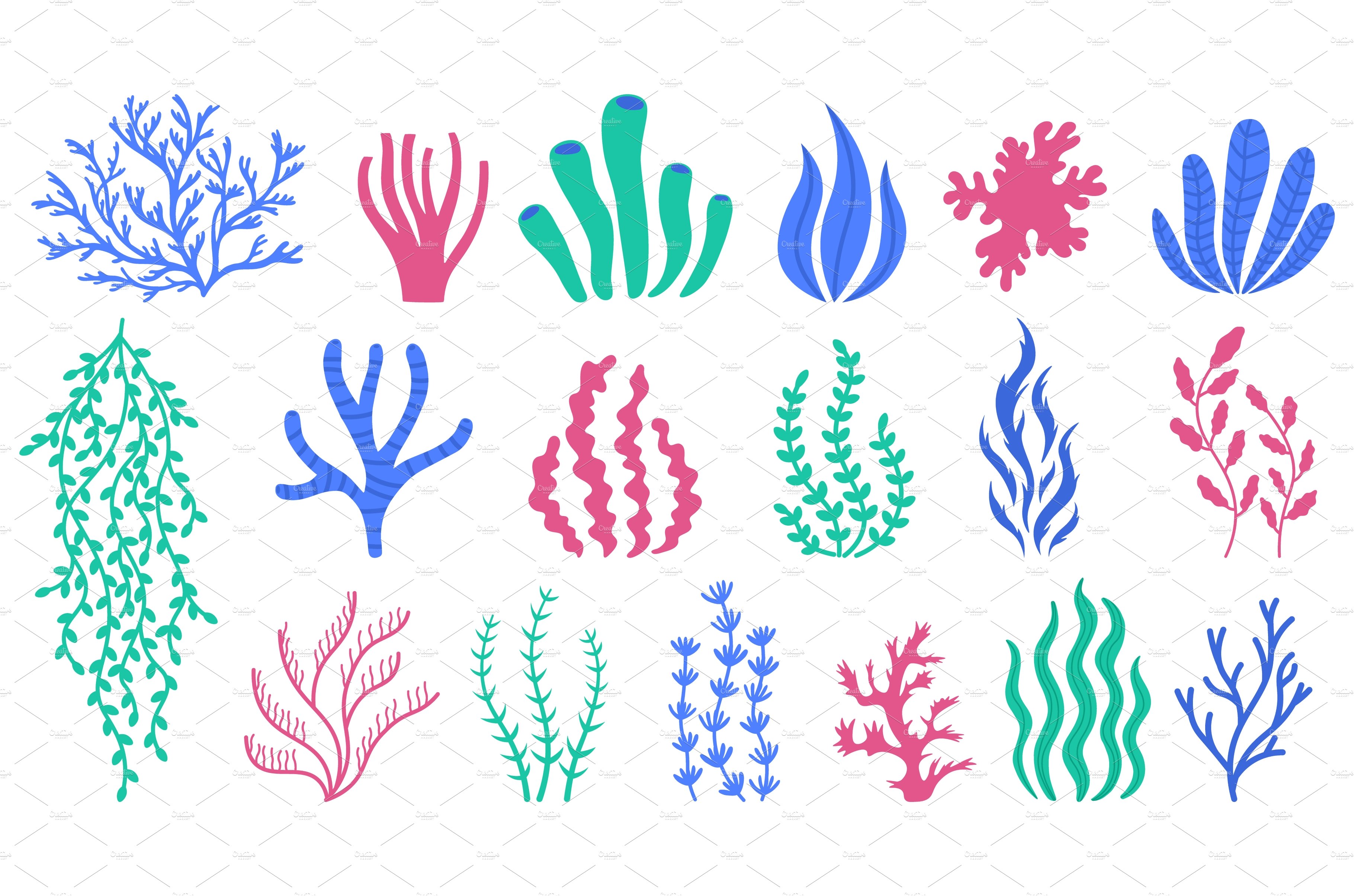 Sea corals. Underwater plants, hand cover image.
