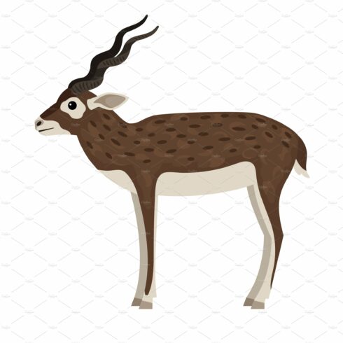 Cartoon wild antelope cover image.